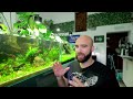 ADDED MORE TECH TO SELF SUSTAINING AQUARIUM! (EP7)