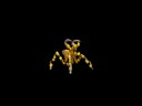 Spore Tiger Warrior Bug