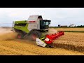 WHEAT HARVEST 2024 CLAAS LEXION 5400 & 750