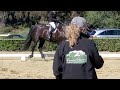 Training Level Test 2 with Tyrus Friesian Percheron Horse November 2022