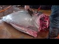 Amazing Skill！Fish Cutting Skills, Various Fish Catch / 驚奇的台灣美食！ 魚的切割技能