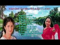 காதலர்கள் கொண்டாடும் தமிழ் பாடல்கள்/Tamil song|Tamil new songs|90's songs
