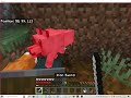 NET SMP EP 6