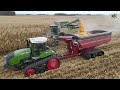 Corn Harvest 2023 Video from Darke County Ohio | Claas Lexion 8600 Combine