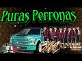 }puras perronas☆☆montez de Durango las mejores canciones ✴️