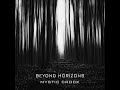 Beyond Horizons