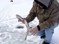 Ice Fishing for Yellow Perch & Pickerel