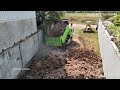 Great Action Bulldozer Pushing Forest Landfill 7 X 24 Meter And Dump Truck Dumping Soil For Back Fil