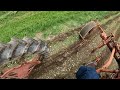 Allis Chalmers G tractor cultivating potatoes