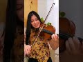 Una joya con violín