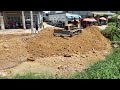 Impressing New Project Starting Process Mini Dozer Pushing Dirt, Dump Truck Unloading Dirt
