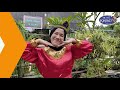 Tari Indang Tarian Tradisional untuk TK | Taman Kanak Kanak | dari Sumatra Barat