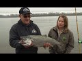 Plunking for Salmon on the Columbia: Workshop Basics