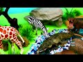 Fun Dioramas For Jungle Animal Figurines - Learn Animal Names