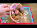 Mixed Apple Shapes Slime: Finding Pinkfong, Cocomelon with CLAY Coloring ! Satisfying ASMR Videos