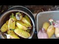 Washing Bananas,Maria Ansay Vlog