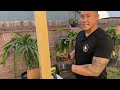 How To Build A Trellis To Grow Dragon Fruit - Final Version Of My Go-To Design