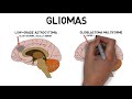 2-Minute Neuroscience: Brain tumors