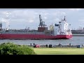 Over 3 hours of Shipspotting Rotterdam in august 2021 / Hoek van Holland / Maasvlakte