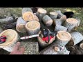 Reviewing the Troy-Bilt 42cc chain saw