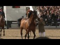 Nick Skelton and Big Star Retire at the Royal Windsor Horse Show