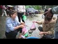 Harvesting Fish In The Field Goes To Market Sell, Cooking Fish | Nhất Daily Life