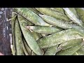 Fresh Fruits 🍓🍑 And Vegetables 🥒🥒|| E.Center Market|| Visit   and Buy|| Sheela's Vlog ☺️