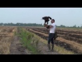 Bald Eagle, Training 4, Free Flying