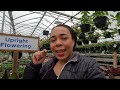 Houseplant Shopping| 📣 SUCCULENT & FERN LOVERS| Philodendron, Hoya & more at Parkway Garden Centre