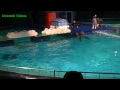 DolfijneSintShow 2011 (deel 1/3)