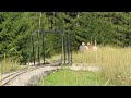 8-7-2011 Passenger service on the Tionesta Valley Railway 1