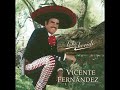 Cantina Mix Vicente Fernandez Vol.2, GRANDES EXITOS Sin sellos