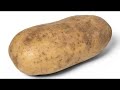 Potato