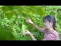 The Process Of Harvesting Lots Of Watermelons To Sell At The Market & Cooking In The Country Kitchen