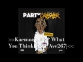 Kaemor Party Crasher Full Mixtape