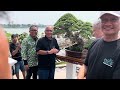 BONSAI TERBAIK PADA PAMERAN LOKAL BONSAI BEKASI RAYA 2024