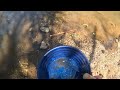 How To Find Gold in Creeks Every Time