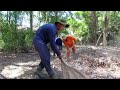 Clearing and Clearing a Collective House That Has Been Buried for Nearly 50 Years