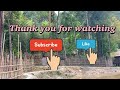 Ziro vlog 🌿🤍 Arunachal Pradesh ⛰️