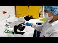 Video tutorial: uso y cuidado del microscopio.