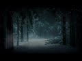 Real Atmosphere of a gloomy winter snowfall in a forest for sleep, relax, meditate Inner peace 111Hz