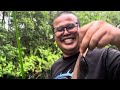 MEMANCING DI HUTAN PENDALAMAN INDONESIA HASIL YANG LUAR BIASA..!!!