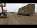 Loading bales and racing the Massey