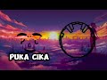 Puka Cika-(Alan Walker X NCS Release-Dreamer Beauz & Heleen Remix)