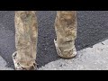 Laying a Large Asphalt Patch