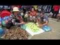 Harvest Cantaloupe Melon Goes To Market Sell - Animals Care | New Free Bushcraft