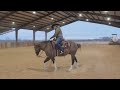 Step-by-step: Teach Your Horse to NECK-REIN