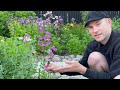 May (full) Garden Tour | Cottage Garden Planting Ideas | Perennial Garden