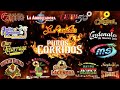 PUROS CORRIDOS CON BANDA - 100 Exitos Corridos Viejitos Con Banda Pa' Pistear