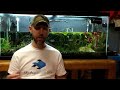 How to REMOVE NITRATES from your Aquarium. 3 steps to Balance Nitrate levels in your Aquarium